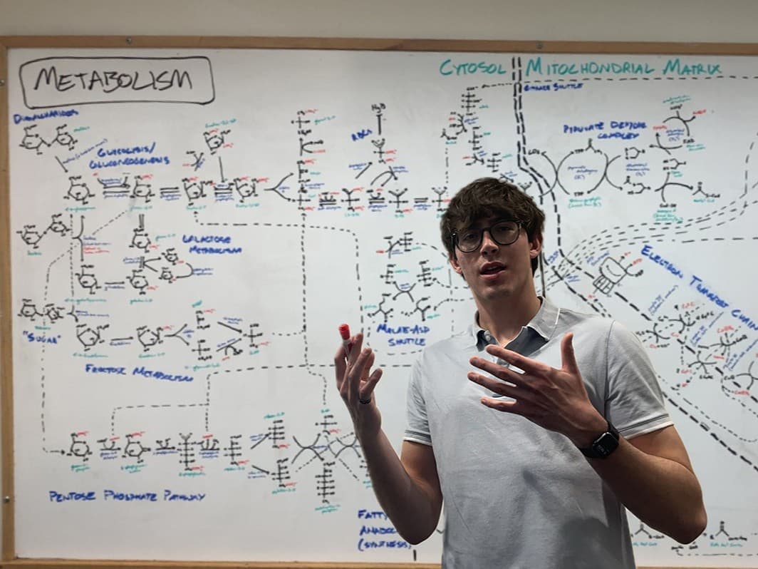 Tutoring UCSD students in San Diego